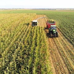 Ensilage de maïs - Crédit photo  @FarmerSeb