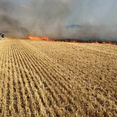 Feu de chaumes, incendie, récolte - Crédit photo   @BruCardot