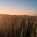 lever de soleil blé tendre - Crédit photo   #FrAgTw