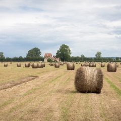 Lin fibre, récolte, enroulage, Normandie, Eure - Crédit photo   Nadège PETIT @agri zoom(2)