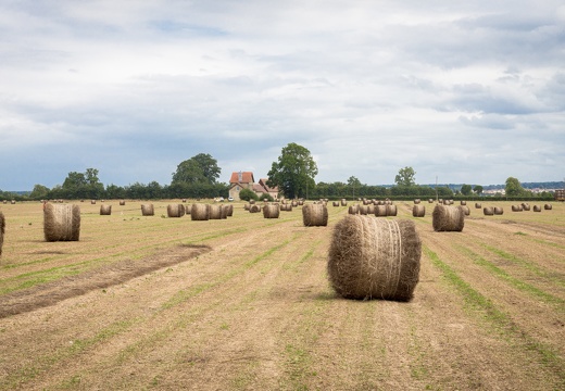 Lin fibre, récolte, enroulage, Normandie, Eure - Crédit photo   Nadège PETIT @agri zoom(2)