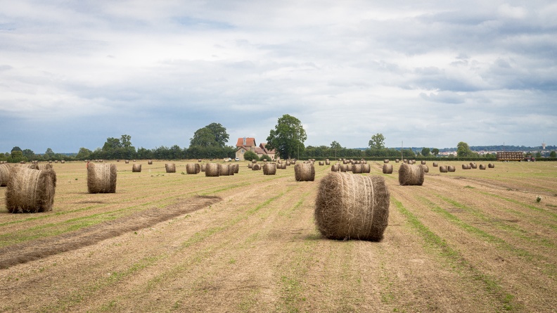 Lin fibre, récolte, enroulage, Normandie, Eure - Crédit photo _ Nadège PETIT @agri_zoom(2).jpg