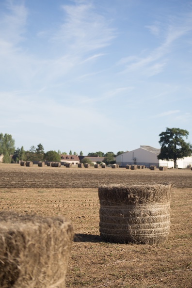 Lin fibre, récolte, enroulage, Normandie, Eure - Crédit photo _ Nadège PETIT @agri_zoom(4).jpg
