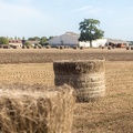 Lin fibre, récolte, enroulage, Normandie, Eure - Crédit photo _ Nadège PETIT @agri_zoom(5).jpg