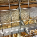 Miel, cadre de miel, extraction, désorperculation, miellerie, apiculture - Crédit photo  @RuchersduBorn