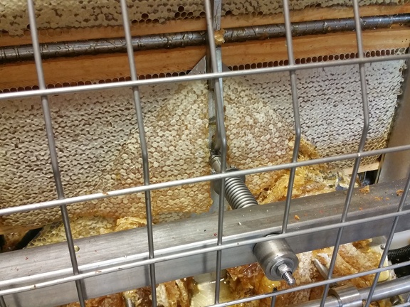 Miel, cadre de miel, extraction, désorperculation, miellerie, apiculture - Crédit photo  @RuchersduBorn