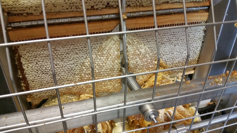 Miel, cadre de miel, extraction, désorperculation, miellerie, apiculture - Crédit photo_ @RuchersduBorn.jpg