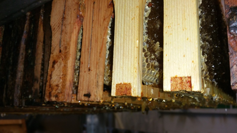 Miel, cadre, miellerie, apiculture - Crédit photo_ @RuchersduBorn.jpg