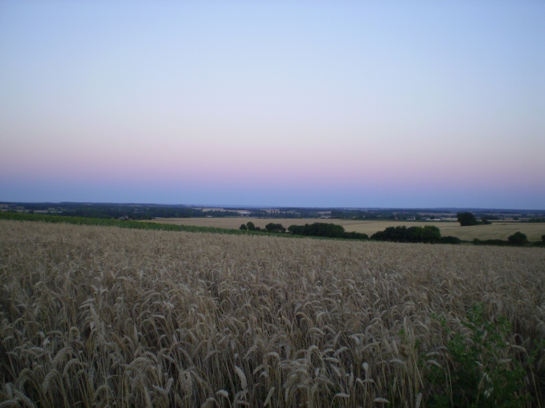 Plaine, Champ de blé et campagne - Crédit photo_ @bubu1664.jpg