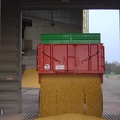 Remorque vidant dans fosse, livraison, négoce, silos, organisme stockeur - Crédit photo   Vallaud @NegoceExpansion
