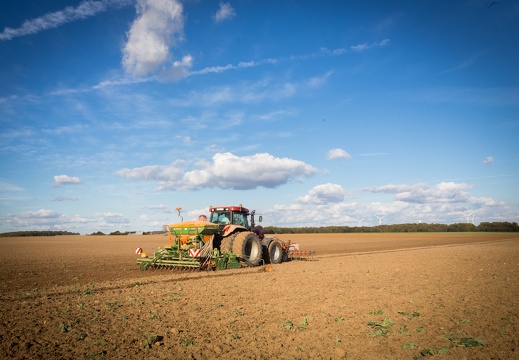 Semis blé dur, Normandie, Eure - Crédit photo   Nadège PETIT @agri zoom