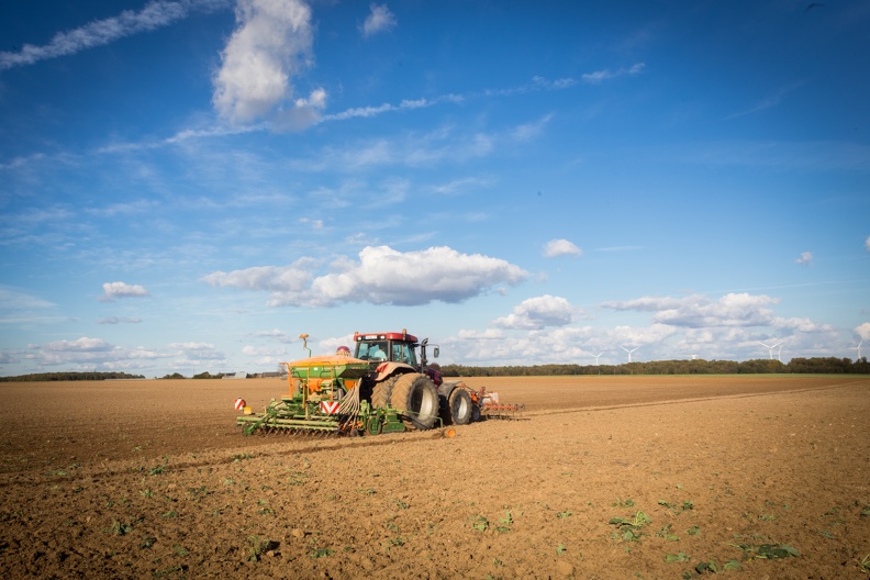 Semis blé dur, Normandie, Eure - Crédit photo _ Nadège PETIT @agri_zoom.jpg