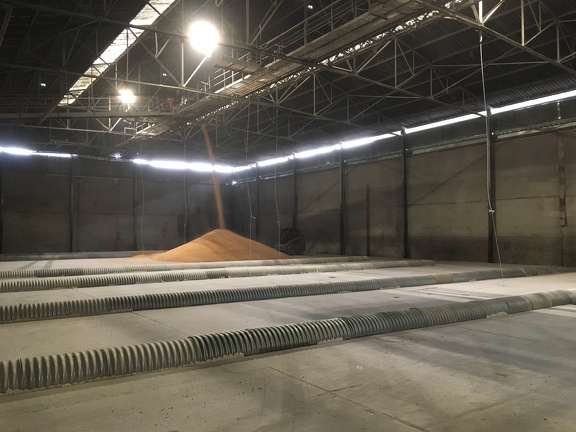 Silo ensilage cellule fond plat , silo, stockage, Rhin, céréales, exportation, logistique - Crédit photo   @Barjotnicolas