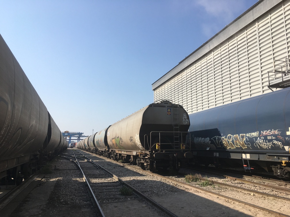 Trains en cours de déchargement, silo, stockage, Rhin, céréales, oléagineux, exportation, logistique - Crédit photo   @Barjotnicolas