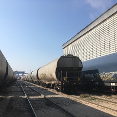 Trains en cours de déchargement, silo, stockage, Rhin, céréales, oléagineux, exportation, logistique - Crédit photo   @Barjotnicolas