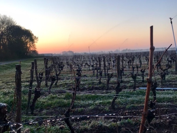 Aspersion sur vigne, viticulture - Crédit photo   Guillaume Delanoue(2)