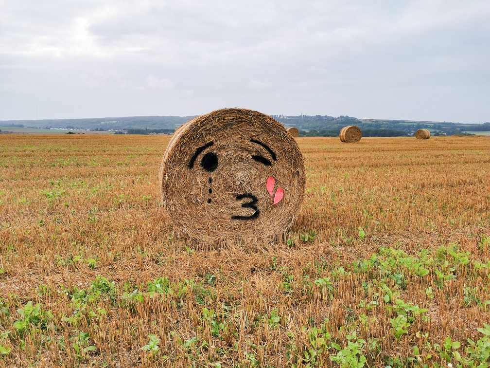 Ballot de paille - EMOJIS - countryside art