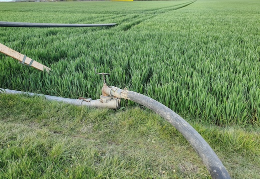 Irrigation tuyau plein eau