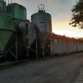 silos d aliment élevage de porcs