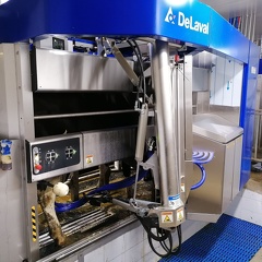 Robot de traite - lait