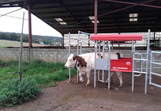 #220221-11 - infrastructure, Robot, vache - crédit @Agricultrice25-FranceAgriTwittos