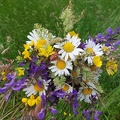 #220221 - bouquet, FLEURS, fleurs des champs - crédit @Agricultrice25-FranceAgriTwittos