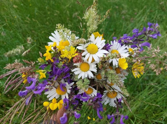 #220221 - bouquet, FLEURS, fleurs des champs - crédit @Agricultrice25-FranceAgriTwittos